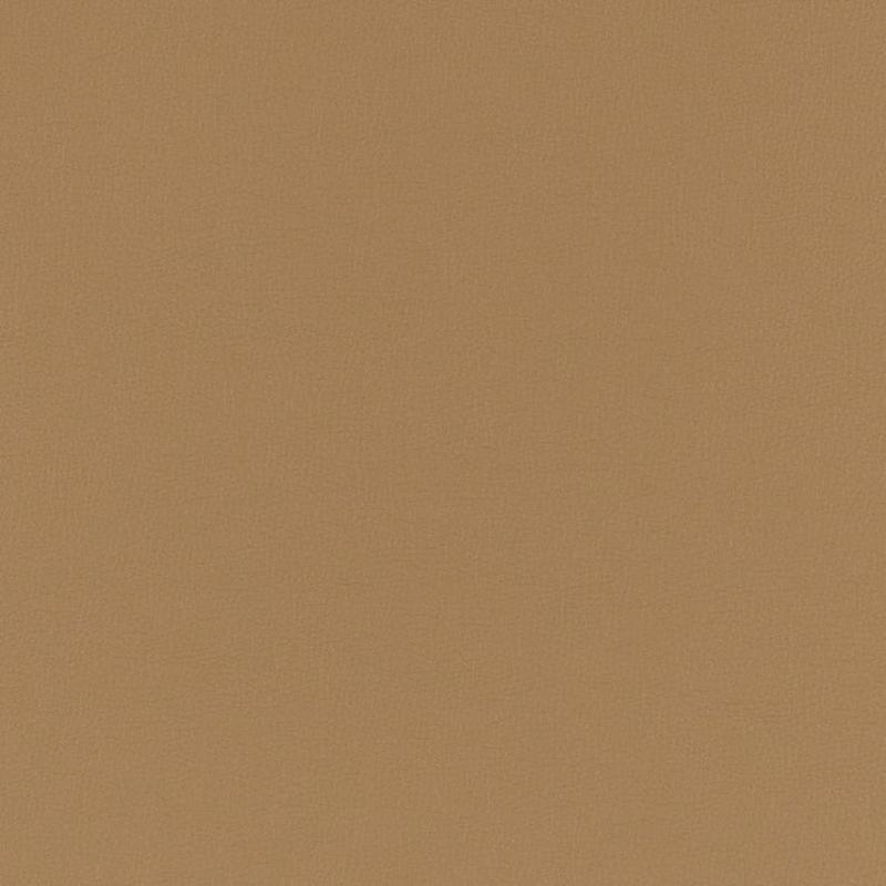 V779 Sandstone by Charlotte Fabric