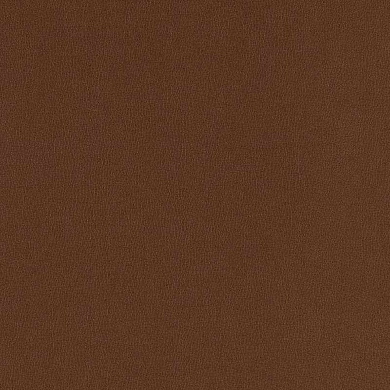 V797 Chocolate by Charlotte Fabric