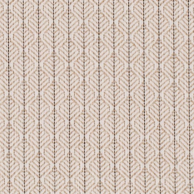 CB800-498 by Charlotte Fabric