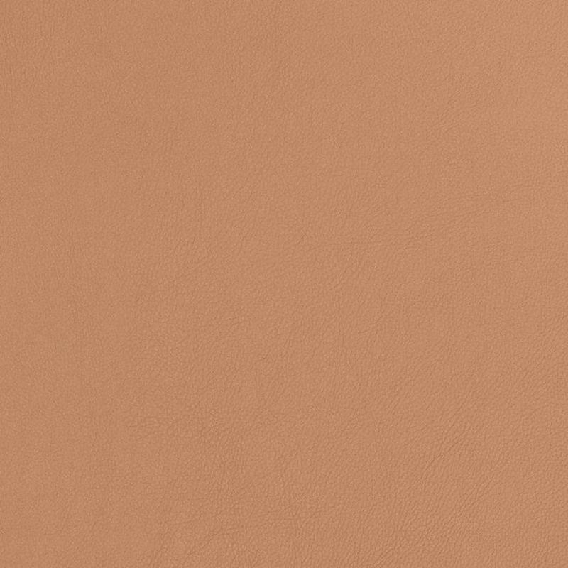 V810 by Charlotte Fabric