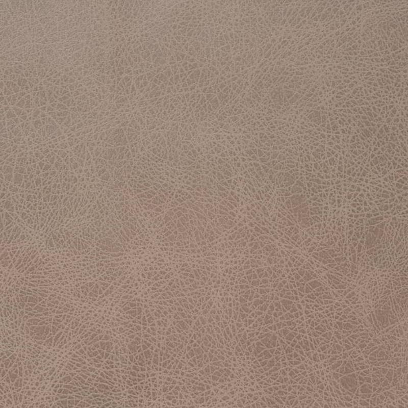 V858 Latte by Charlotte Fabric