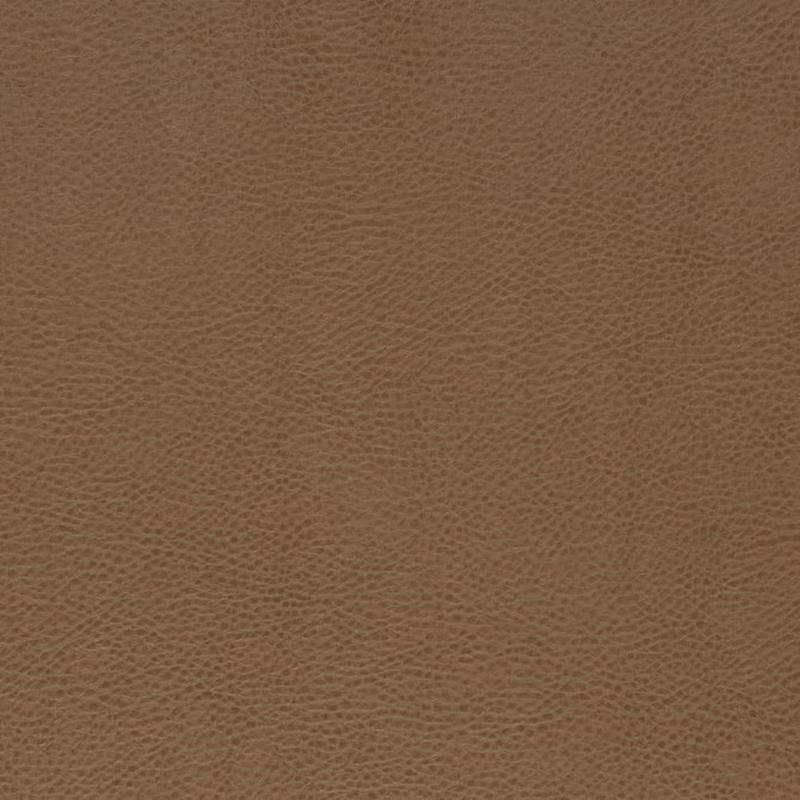 V869 Bronze by Charlotte Fabric