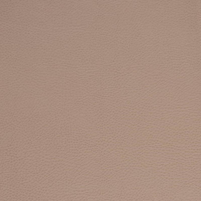 V875 Clay by Charlotte Fabric