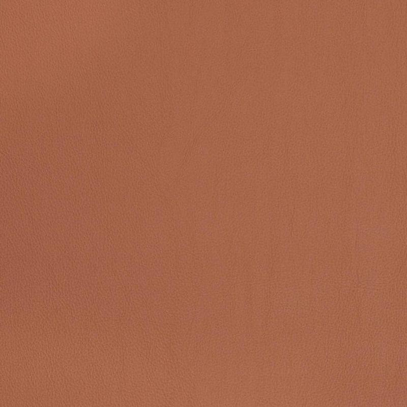 V823 by Charlotte Fabric