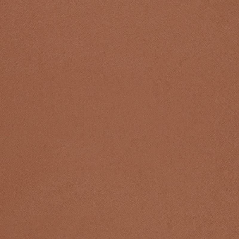 V824 by Charlotte Fabric