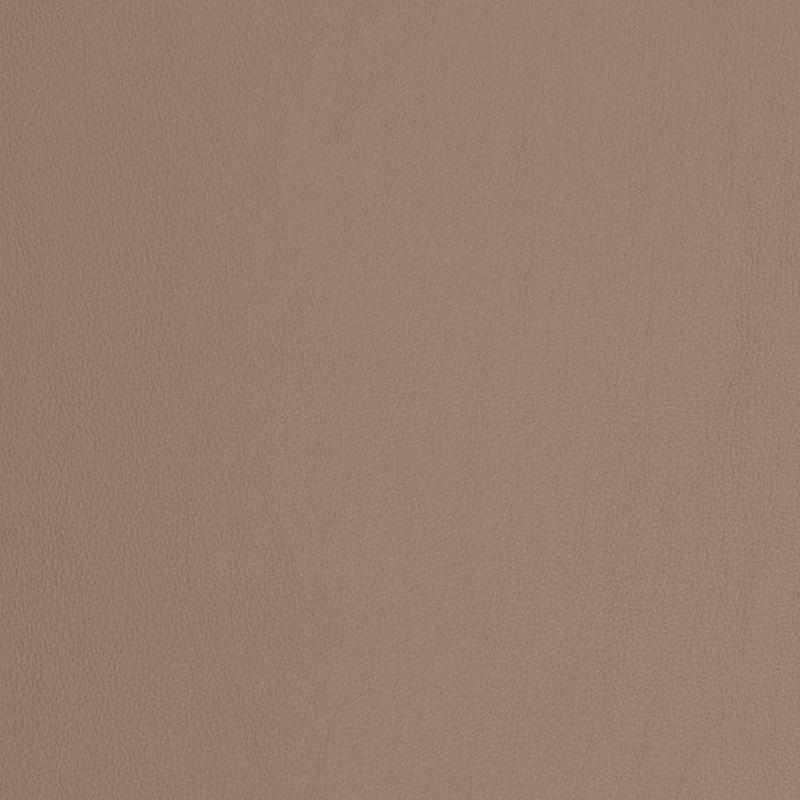 V827 by Charlotte Fabric