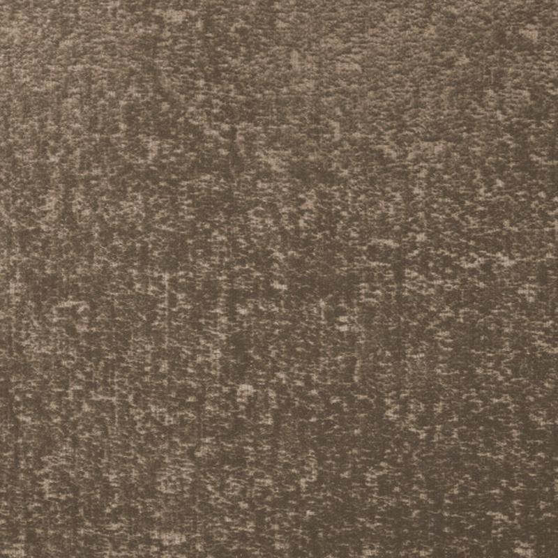 Casablanca 01103 by Barrow  Fabric