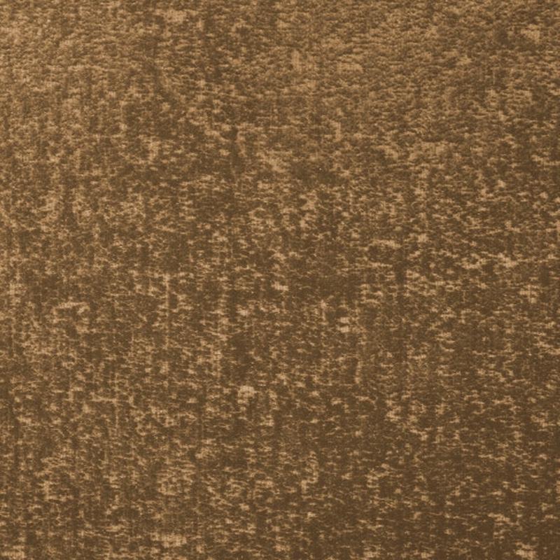 Casablanca 02204 by Barrow  Fabric