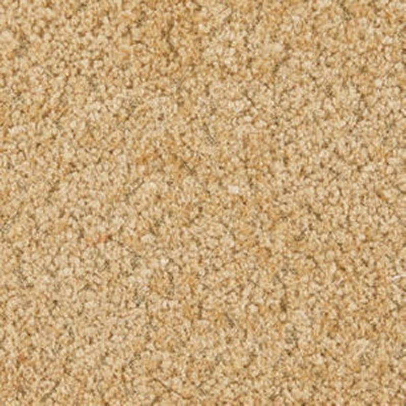 Jericho Teddy by Norbar Fabric