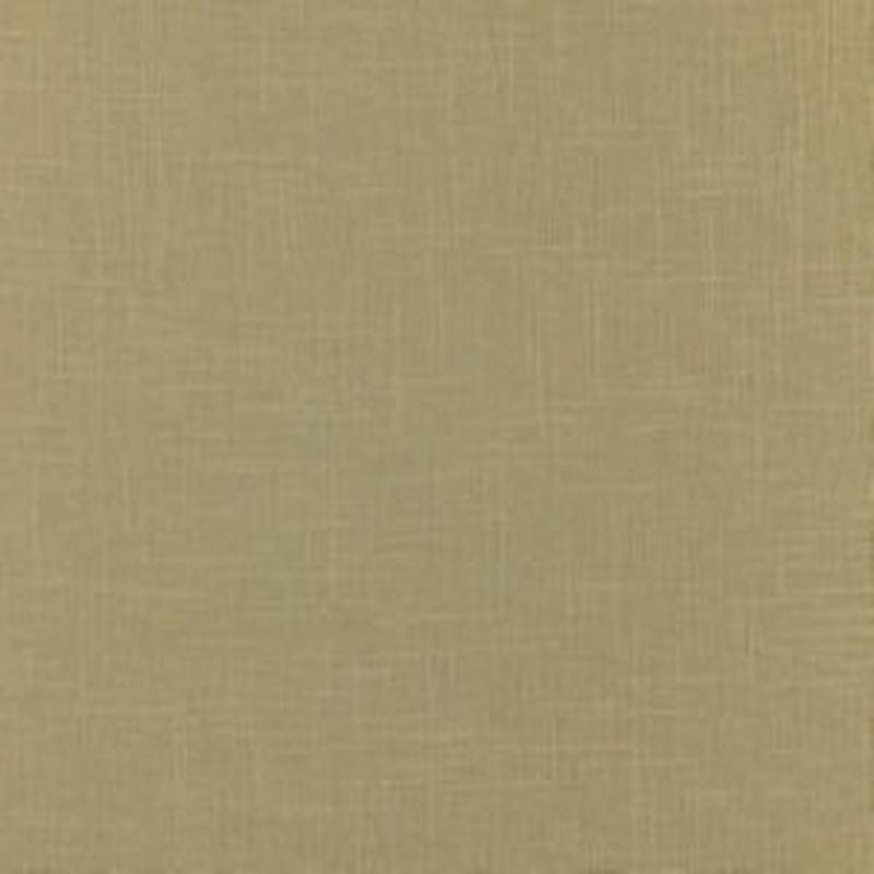 Jive Desized 02 by Norbar Fabric