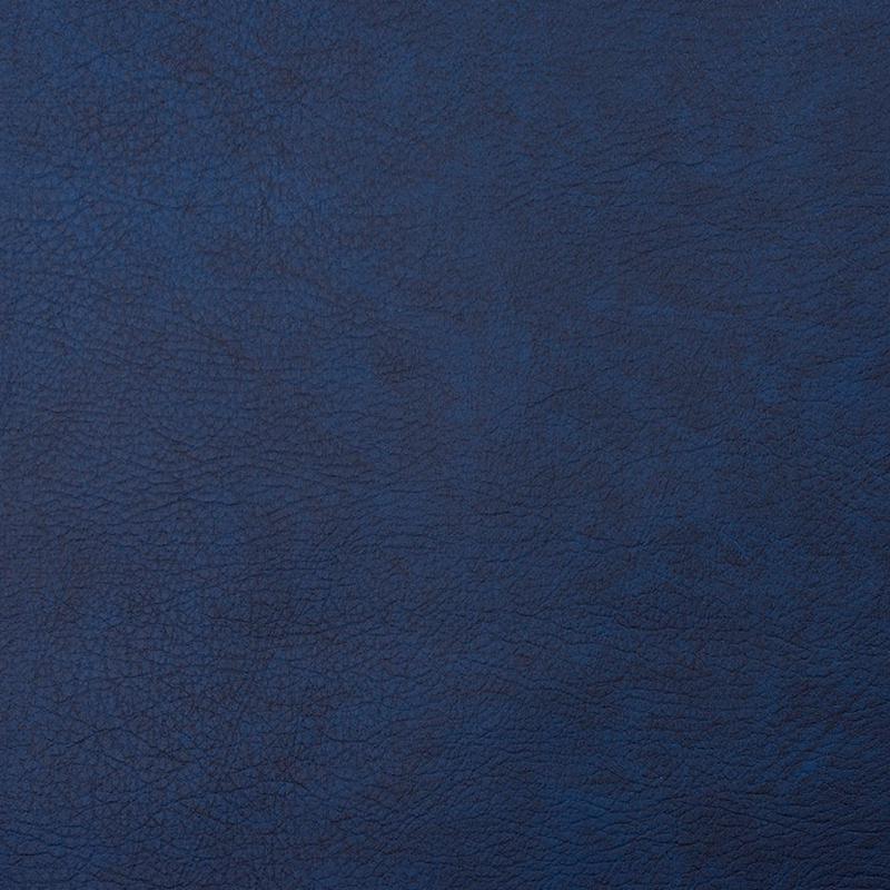 8101 Navy by Charlotte Fabric