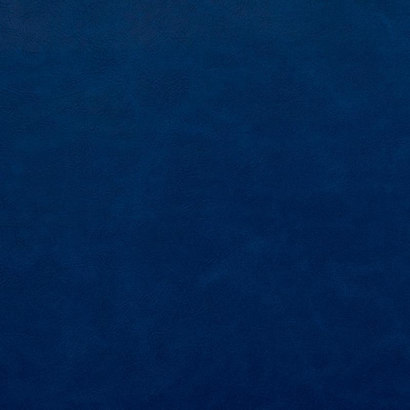 8242 Royal by Charlotte Fabric