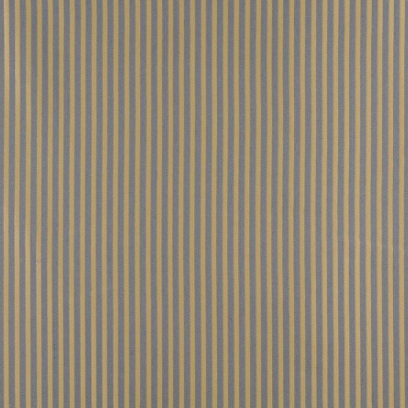 4369 Chambray Stripe by Charlotte Fabric
