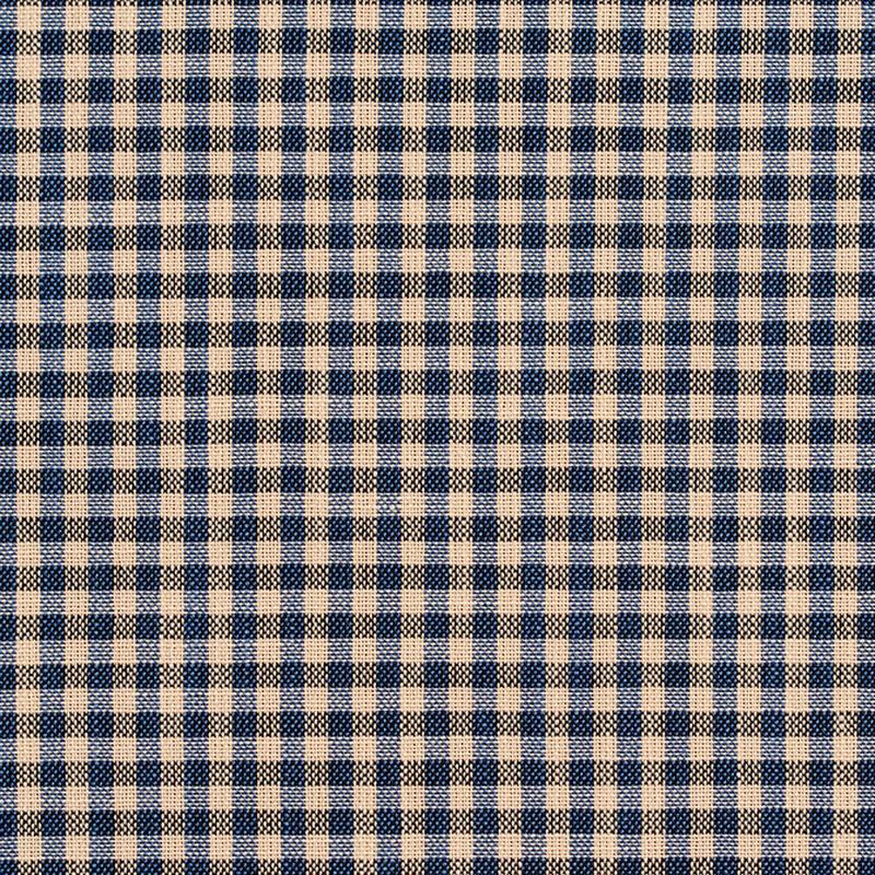 D120 Indigo Gingham by Charlotte Fabric