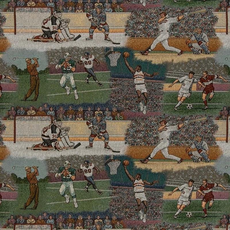 D2681 Sports by Charlotte Fabric