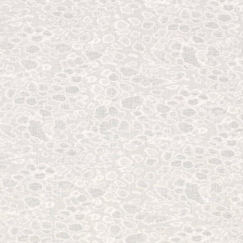 CB700-586 by Charlotte Fabric