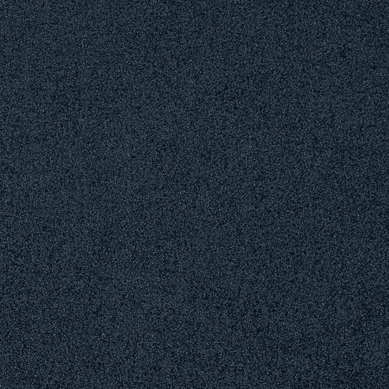 D4663 Blueberry by Charlotte Fabric
