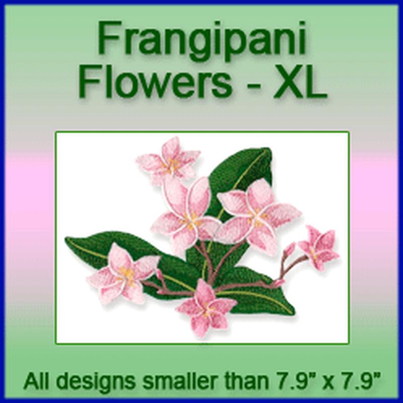 A Frangipani Flowers Design Pack