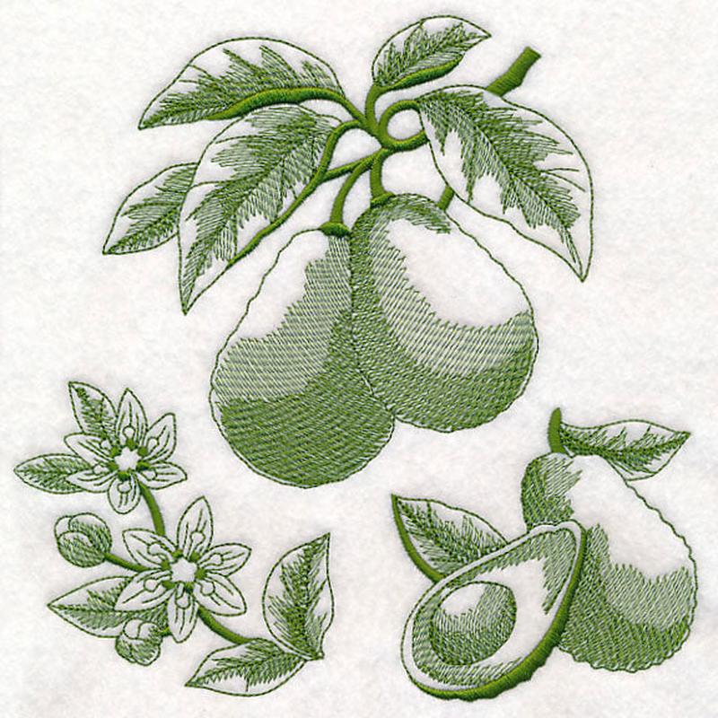 Avocado Botanical (Toile)