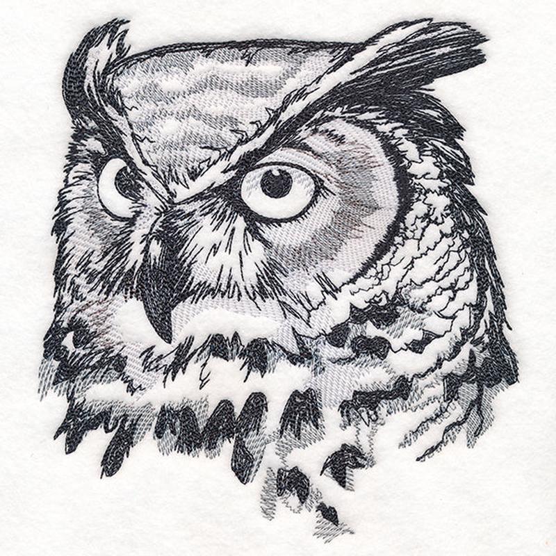 Autumn Great Horned Owl Sketch