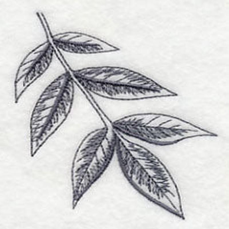 Ash Leaf