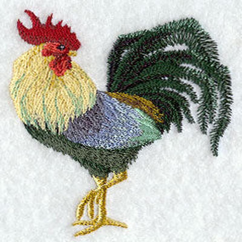 Asian Rooster