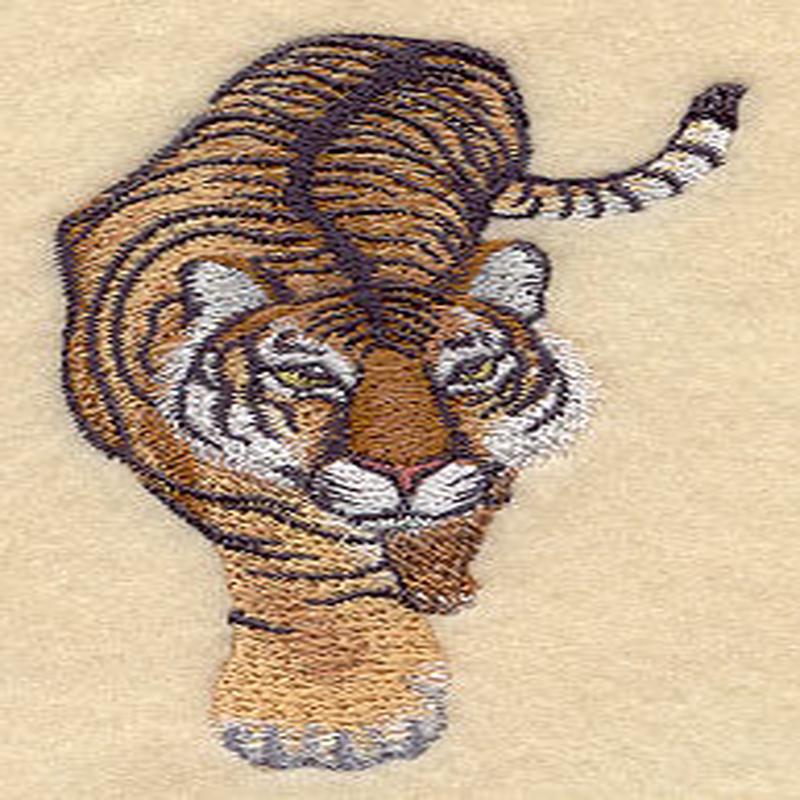 Asian Tiger