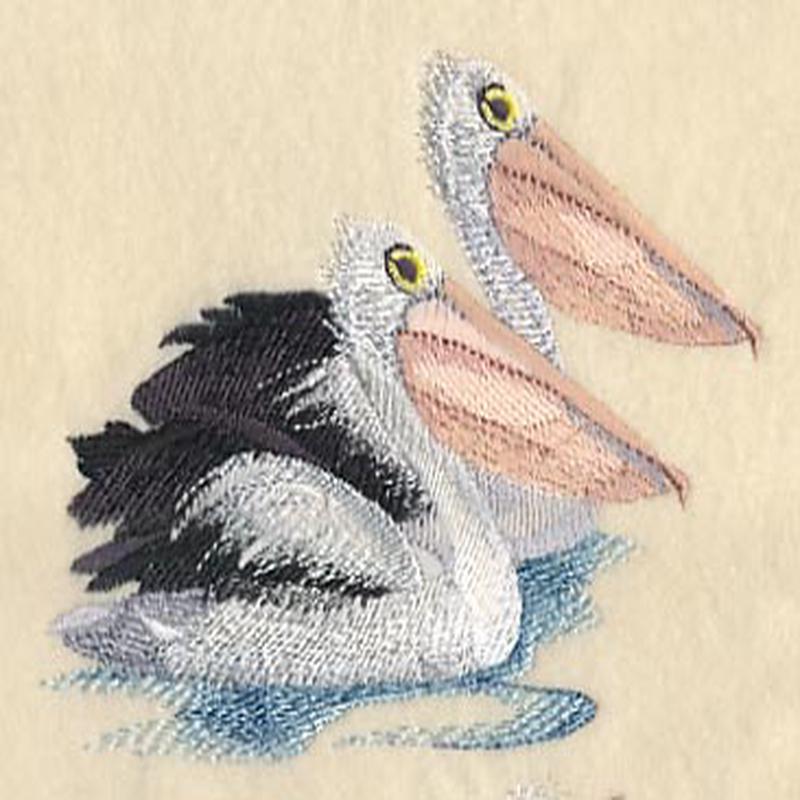 Australian Pelican Pair