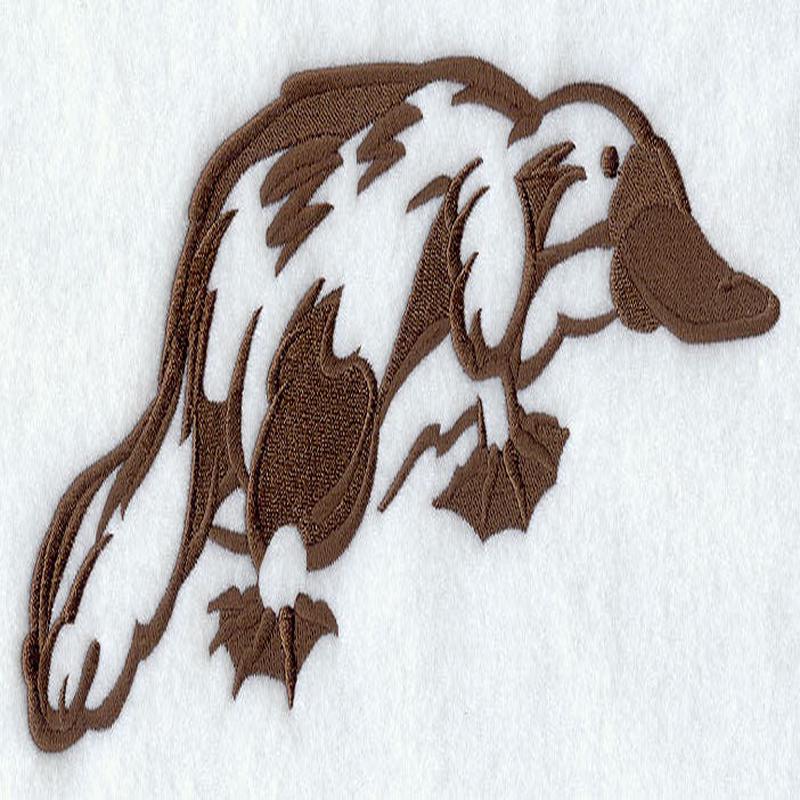Australian Silhouette Platypus