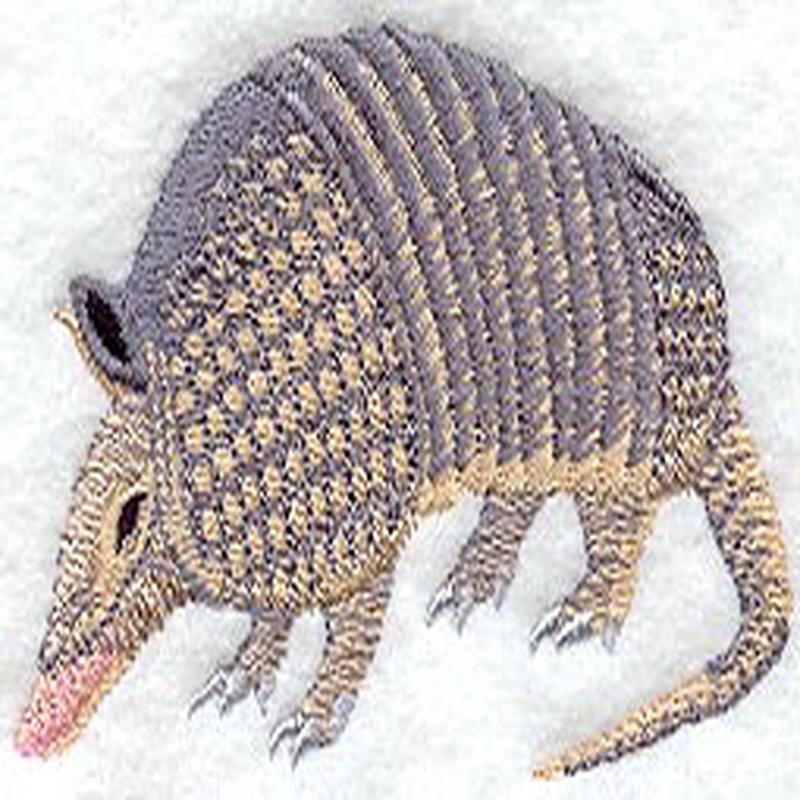 Armadillo