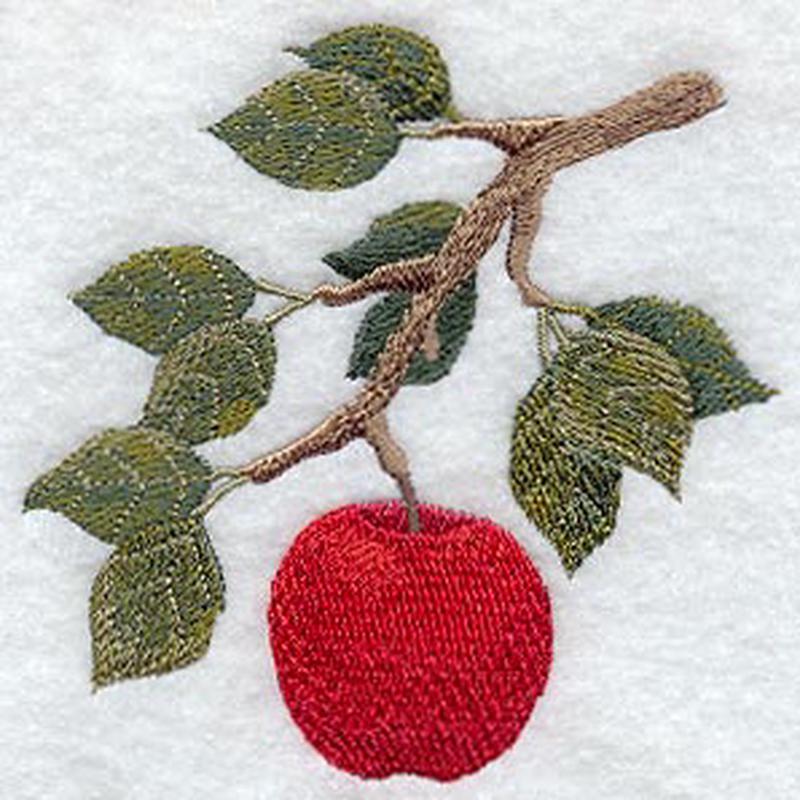 Apple Branch - No Text