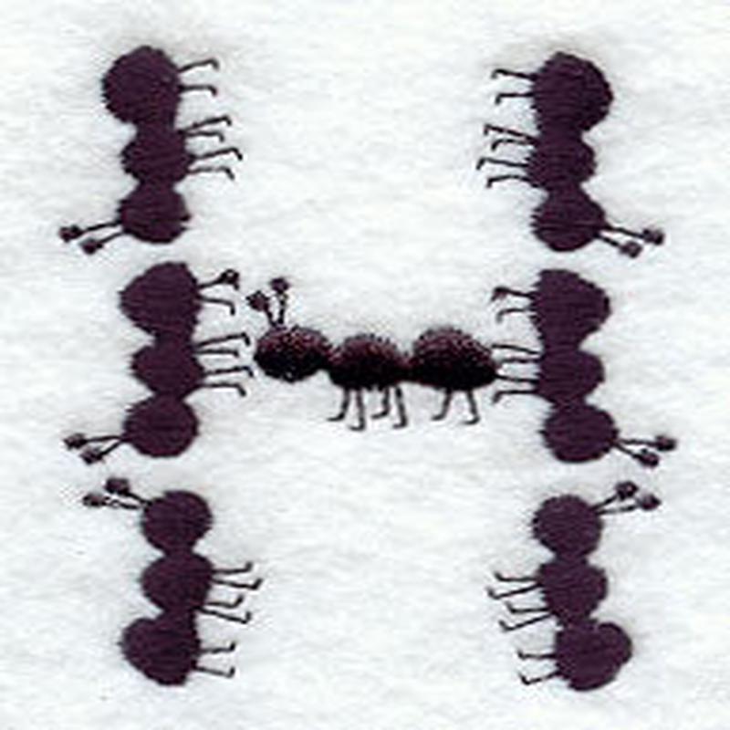 Ant Letter H (3 inch)