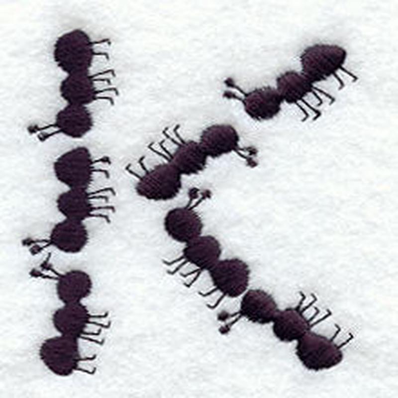 Ant Letter K (3 inch)