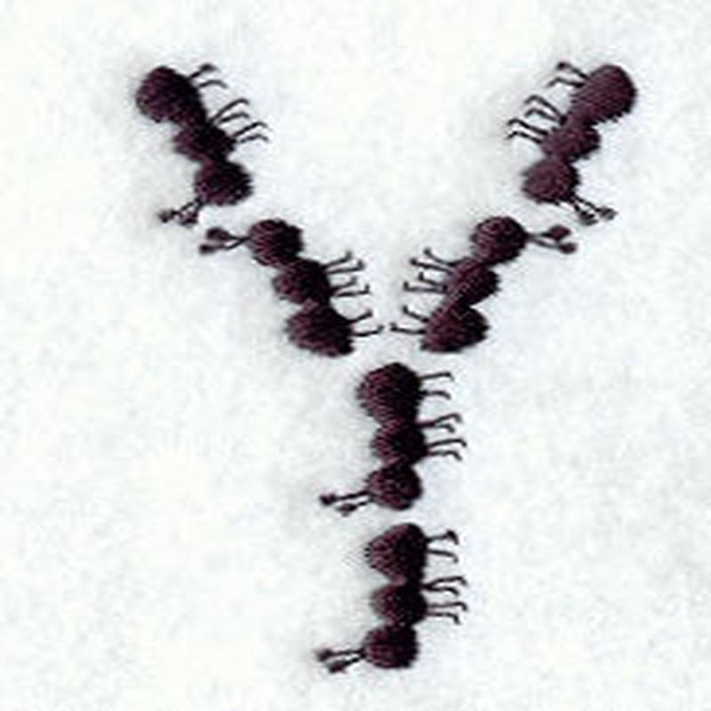 Ant Letter Y (3 inch)