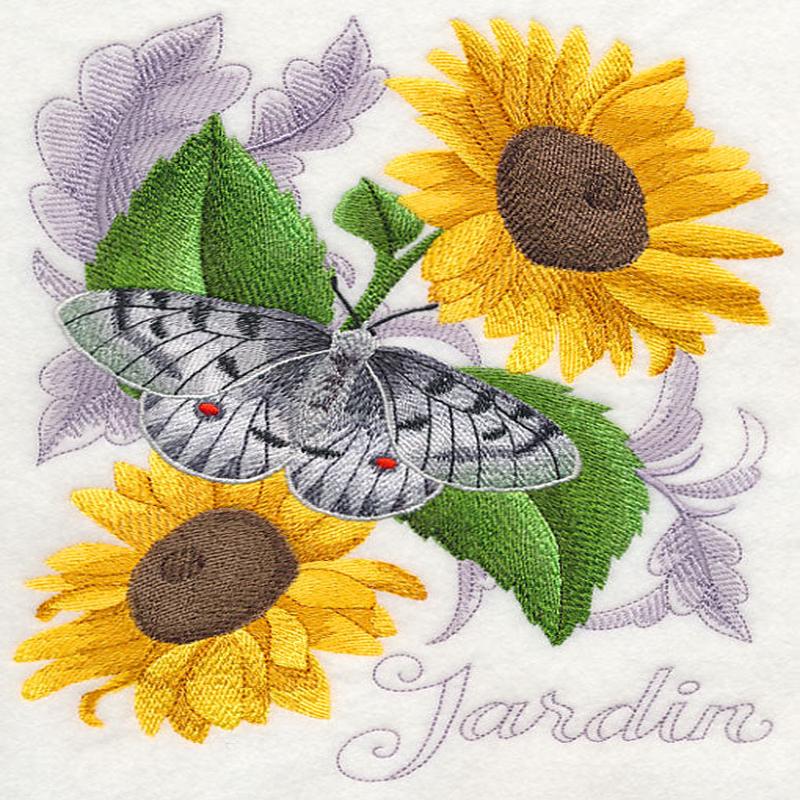 Apollo Butterfly and Sunflowers