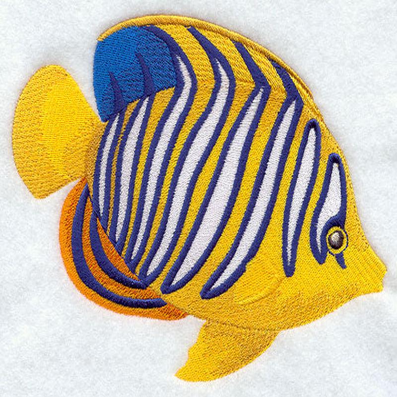 Angelfish