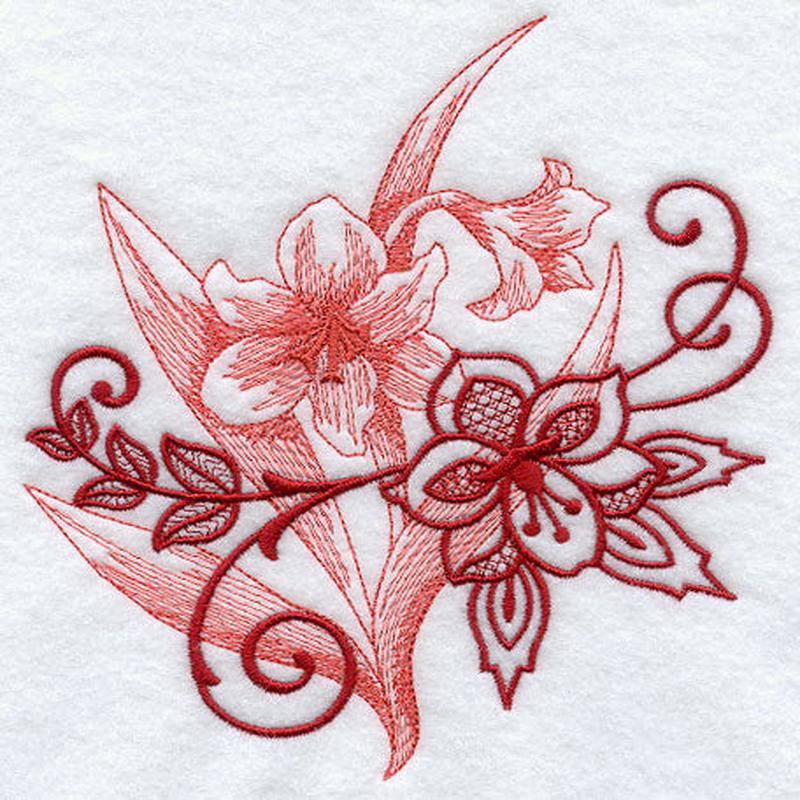 Amaryllis Echo in Bloom