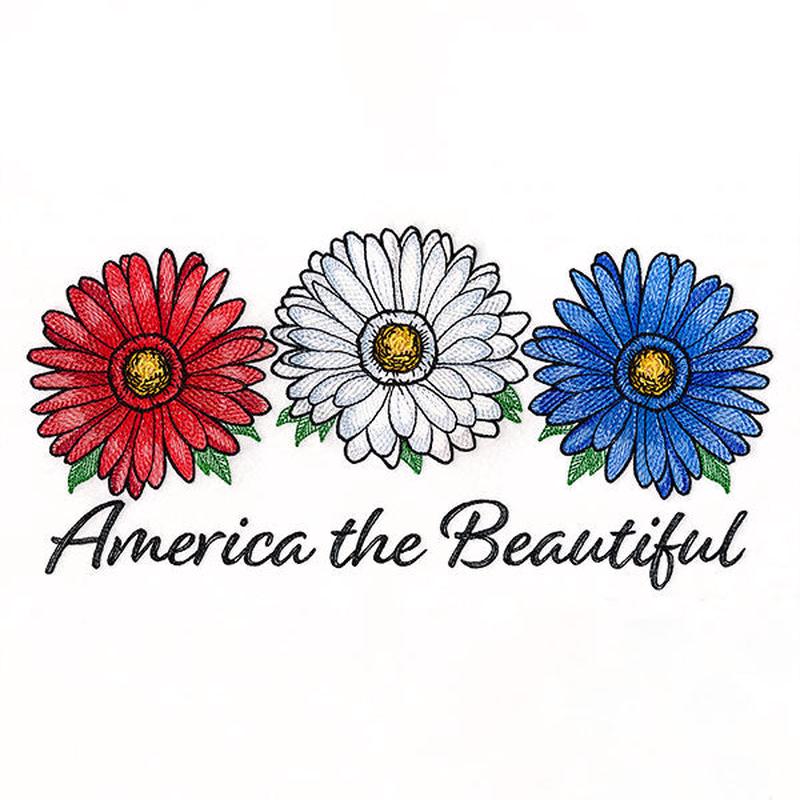 America the Beautiful Daisies
