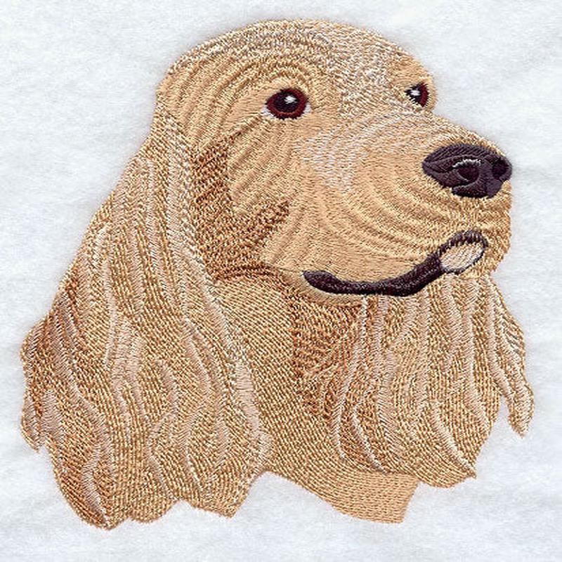 American Cocker Spaniel Head