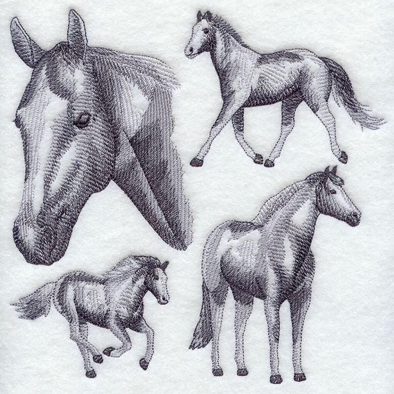 American Paint Horse Sketch