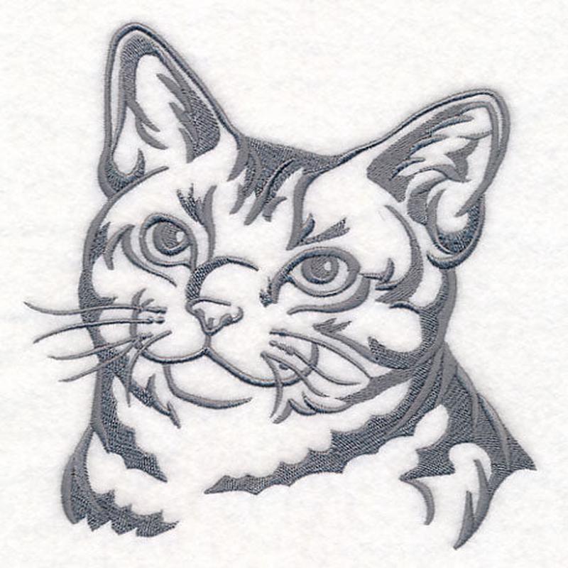 American Shorthair Cat Silhouette