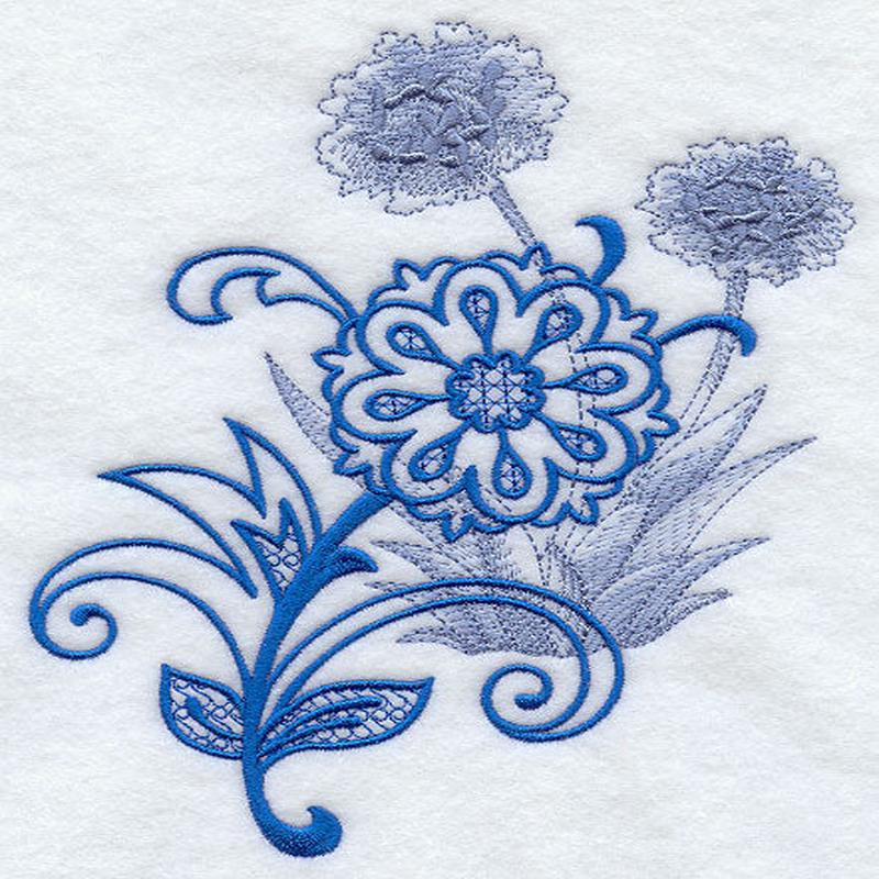 Agapanthus Echo in Bloom