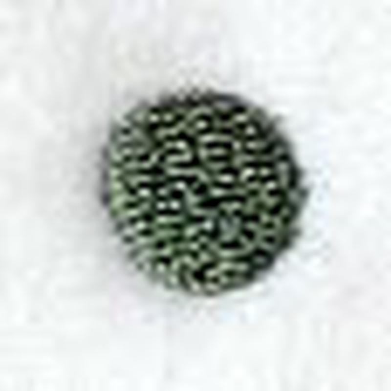 Agatha Period (3 Inch)