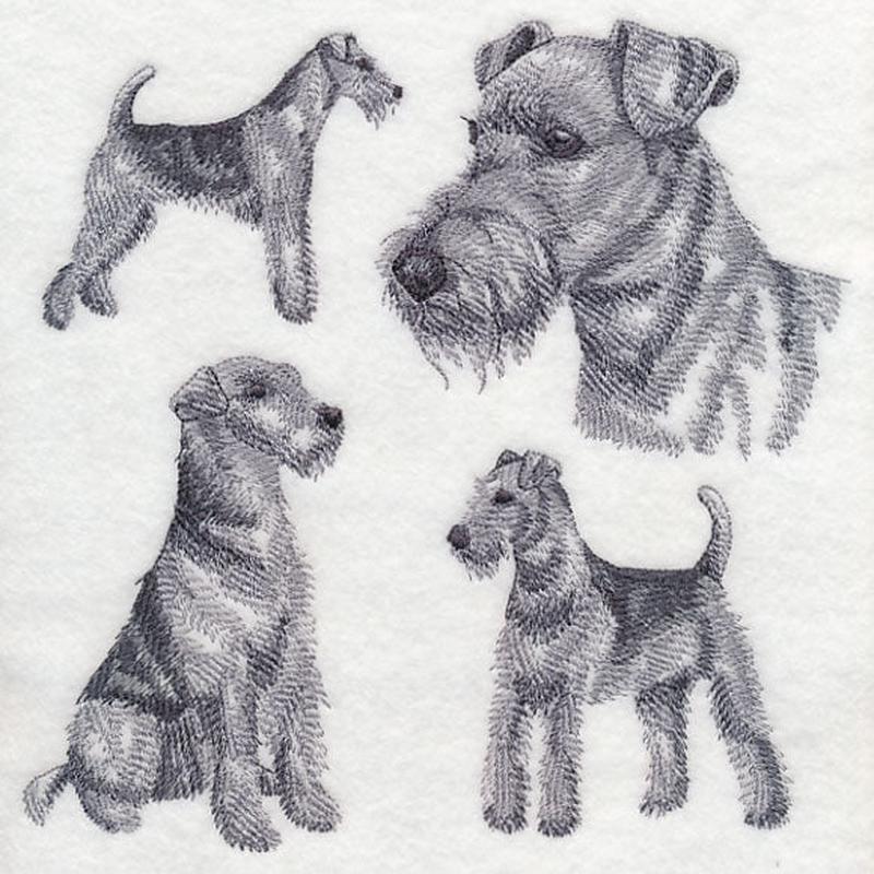 Airedale Sketch (Docked Tail)