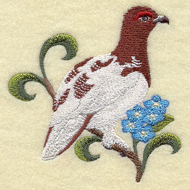 Alaska Willow Ptarmigan and Forget-Me-Not Medley