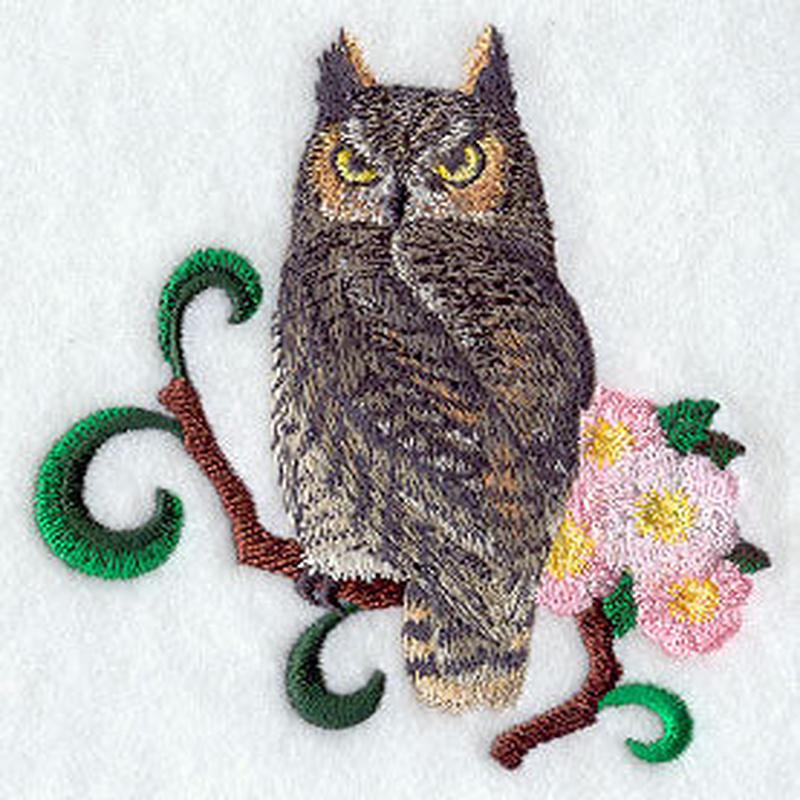 Alberta Great Horned Owl and Wild Rose Medley