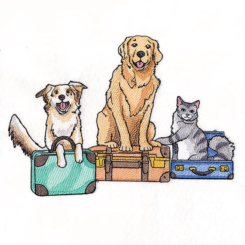 All Packed Up Pets