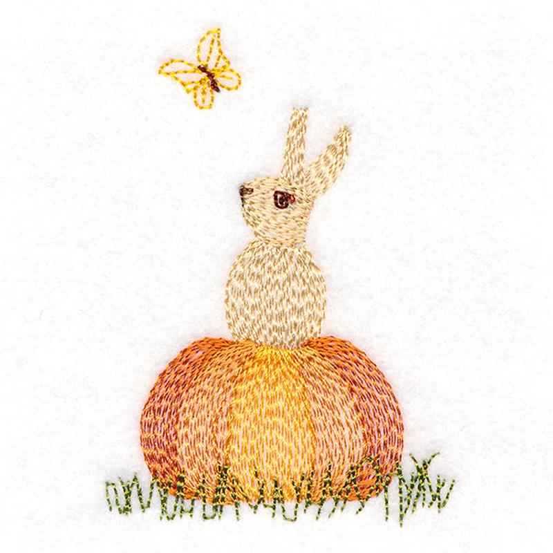 Adorable Pumpkin Bunny