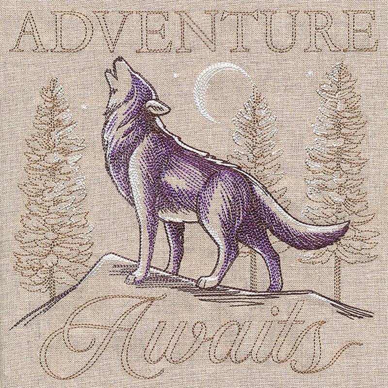 Adventure Awaits Medley