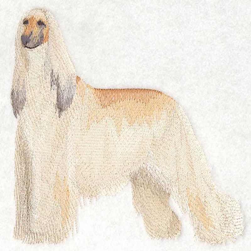 Afghan Hound